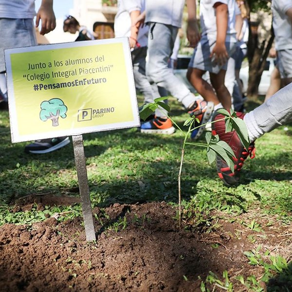 Compromiso social. Parino Group, junto a los chicos del colegio Piacentini plantaron árboles en una jornada super divertida.